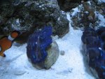 IMG_0324.JPG
