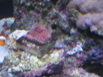 IMG_0321.JPG