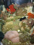 IMG_2235.JPG