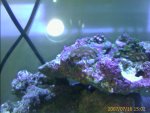 IMAGE_00019.jpg
