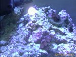 IMAGE_00020.jpg