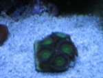 frag 002.jpg