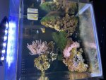 IMG_4975.jpeg