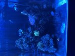 IMG_5115.jpeg