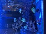 IMG_5235.jpeg