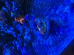 IMG_3233.jpeg