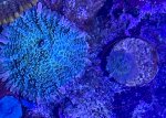 75A67C45-C456-449E-BD90-83400F036AAE.jpeg