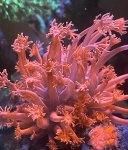 IMG_0975.jpeg