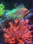 IMG_0974.jpeg