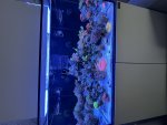 IMG_5986.jpeg