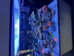 IMG_5989.jpeg
