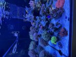 IMG_5988.jpeg