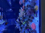IMG_5987.jpeg