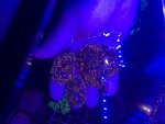 IMG_8032.jpeg
