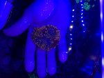 IMG_8034.jpeg