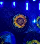 F598FD25-6A2B-49F0-B122-6F2B9427F0FD.jpeg