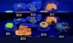 7014B0EF-5568-4BA7-B0BC-46DE151528D3.jpeg