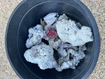 IMG_3747.jpeg