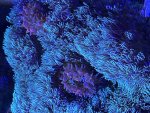 IMG_7732.jpeg
