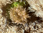 IMG_7734.jpeg