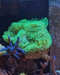 IMG_8230.jpeg