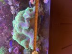 IMG_8209.jpeg