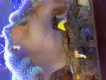IMG_8210.jpeg