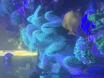 IMG_8224.jpeg