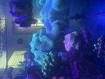 IMG_8223.jpeg