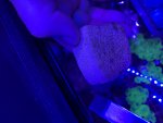 IMG_8212.jpeg