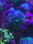 IMG_8215.jpeg