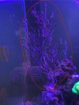 IMG_8218.jpeg