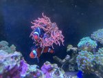 IMG_2384.jpeg