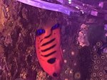 IMG_1928.jpeg