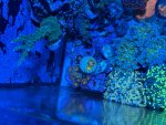 IMG_5496.jpeg