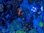 IMG_5495.jpeg