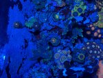 IMG_5497.jpeg