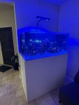 IMG_1280.jpeg