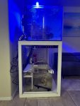 IMG_1284.jpeg