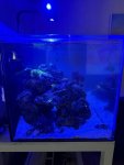 IMG_1286.jpeg