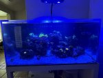 IMG_1287.jpeg