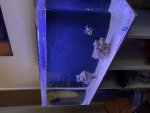 IMG_7599.jpeg