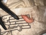 IMG_4588.jpeg
