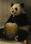 1000028972.gif