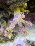 IMG_1358.jpeg
