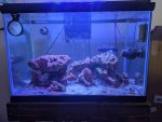 PXL_20240606_210117778.jpg