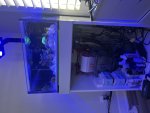 IMG_2799.jpeg