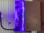 IMG_0029.jpeg