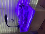 IMG_0031.jpeg