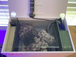 IMG_0033.jpeg